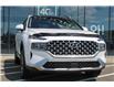 2023 Hyundai Santa Fe HEV Luxury (Stk: 232003A) in Grand Falls - Image 7 of 15