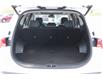 2023 Hyundai Santa Fe HEV Luxury (Stk: 232003A) in Grand Falls - Image 8 of 15