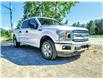 2020 Ford F-150 XLT (Stk: 9751) in Golden - Image 7 of 29
