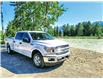 2020 Ford F-150 XLT (Stk: 9751) in Golden - Image 11 of 29