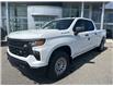 2024 Chevrolet Silverado 1500 Work Truck (Stk: Z106848) in Newmarket - Image 1 of 12