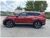 2019 Honda CR-V Touring (Stk: U3242) in Cambridge - Image 4 of 27