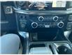 2023 Ford F-150 XLT (Stk: LT3529) in Nisku - Image 23 of 24