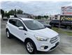 2018 Ford Escape SE (Stk: A4137) in Miramichi - Image 2 of 27