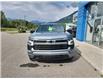 2023 Chevrolet Silverado 1500 RST (Stk: PZ322371) in Fernie - Image 3 of 10