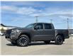 2023 Nissan Frontier PRO-4X (Stk: 54) in Whitehorse - Image 3 of 25