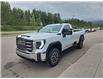2024 GMC Sierra 3500HD SLE (Stk: RF103308) in Fernie - Image 4 of 10