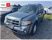 2011 Ford Escape XLT (Stk: 53459AB) in Brampton - Image 1 of 5