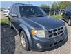 2011 Ford Escape XLT (Stk: 53459AB) in Brampton - Image 4 of 5