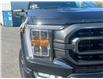 2022 Ford F-150 XLT (Stk: DX798DTA) in Ottawa - Image 3 of 13