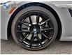 2023 BMW M850i xDrive (Stk: 14997) in Gloucester - Image 9 of 21