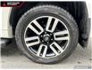 2022 Toyota 4Runner Base (Stk: 983092) in North Vancouver - Image 6 of 24
