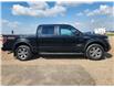 2013 Ford F-150 FX4 (Stk: U85669) in Shellbrook - Image 4 of 20