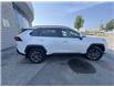 2023 Toyota RAV4 HYBRID LIMITED (Stk: 53879A) in Brampton - Image 9 of 24
