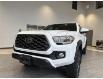 2020 Toyota Tacoma TRD Off-Road (Stk: 232751) in Brandon - Image 2 of 34