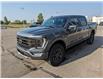 2023 Ford F-150 Tremor (Stk: 23180) in High River - Image 4 of 26