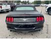 2019 Ford Mustang  (Stk: UC90215) in Cobourg - Image 9 of 24