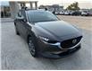 2020 Mazda CX-30 GT (Stk: A0560) in Steinbach - Image 7 of 18
