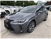 2024 Lexus UX 250h  (Stk: 15102637A) in Richmond Hill - Image 4 of 32