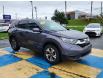 2019 Honda CR-V LX (Stk: P3258A) in Mount Pearl - Image 3 of 16