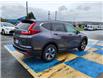 2019 Honda CR-V LX (Stk: P3258A) in Mount Pearl - Image 4 of 16