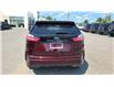 2024 Ford Edge ST Line (Stk: 024003) in Madoc - Image 6 of 22
