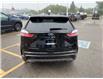 2024 Ford Edge Titanium AWD (Stk: 4EG1604) in Brantford - Image 4 of 17