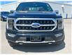 2022 Ford F-150 Platinum (Stk: DX160A) in Ottawa - Image 2 of 18