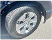 2022 Ford F-150 Platinum (Stk: DX160A) in Ottawa - Image 6 of 18