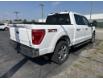 2021 Ford F-150 XLT (Stk: PRR662) in Amherstburg - Image 5 of 24