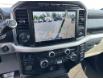 2021 Ford F-150 XLT (Stk: PRR662) in Amherstburg - Image 16 of 24