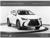 2024 Lexus NX 350 Base (Stk: 032741) in Brampton - Image 1 of 10