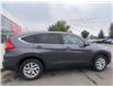 2016 Honda CR-V EX (Stk: 230818A) in Calgary - Image 7 of 13