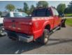 2015 Ford F-250  (Stk: P10352) in Madoc - Image 4 of 11