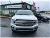 2020 Ford F-150 XLT (Stk: 11601) in Lower Sackville - Image 8 of 18