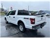 2020 Ford F-150 XLT (Stk: 11601) in Lower Sackville - Image 4 of 18