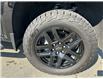 2020 Chevrolet Silverado 1500 LT Trail Boss (Stk: M8176A-23) in Courtenay - Image 10 of 33