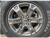 2021 Ford F-150 XLT (Stk: C23109A) in High River - Image 16 of 30