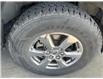 2019 Ford F-150 XLT (Stk: 23213a) in Port Alberni - Image 6 of 13