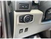 2019 Ford F-150 XLT (Stk: 23213a) in Port Alberni - Image 11 of 13