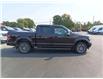 2020 Ford F-150  (Stk: F608L) in Miramichi - Image 6 of 13
