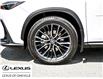 2023 Lexus NX 350 Base (Stk: 24107A) in Oakville - Image 5 of 30