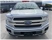 2020 Ford F-150 Platinum (Stk: NI3079) in Cranbrook - Image 2 of 17
