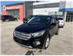 2019 Ford Escape SEL (Stk: A0532) in Steinbach - Image 1 of 17