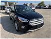2019 Ford Escape SEL (Stk: A0532) in Steinbach - Image 7 of 17