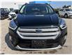 2019 Ford Escape SEL (Stk: A0532) in Steinbach - Image 8 of 17