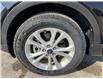 2019 Ford Escape SEL (Stk: A0532) in Steinbach - Image 9 of 17