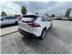 2023 Toyota RAV4 XLE (Stk: 53946A) in Brampton - Image 6 of 17