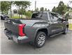 2022 Toyota Tundra Hybrid Platinum (Stk: U12708) in Burlington - Image 6 of 24