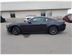 2024 Ford Mustang EcoBoost (Stk: 24M4214) in Mississauga - Image 8 of 28